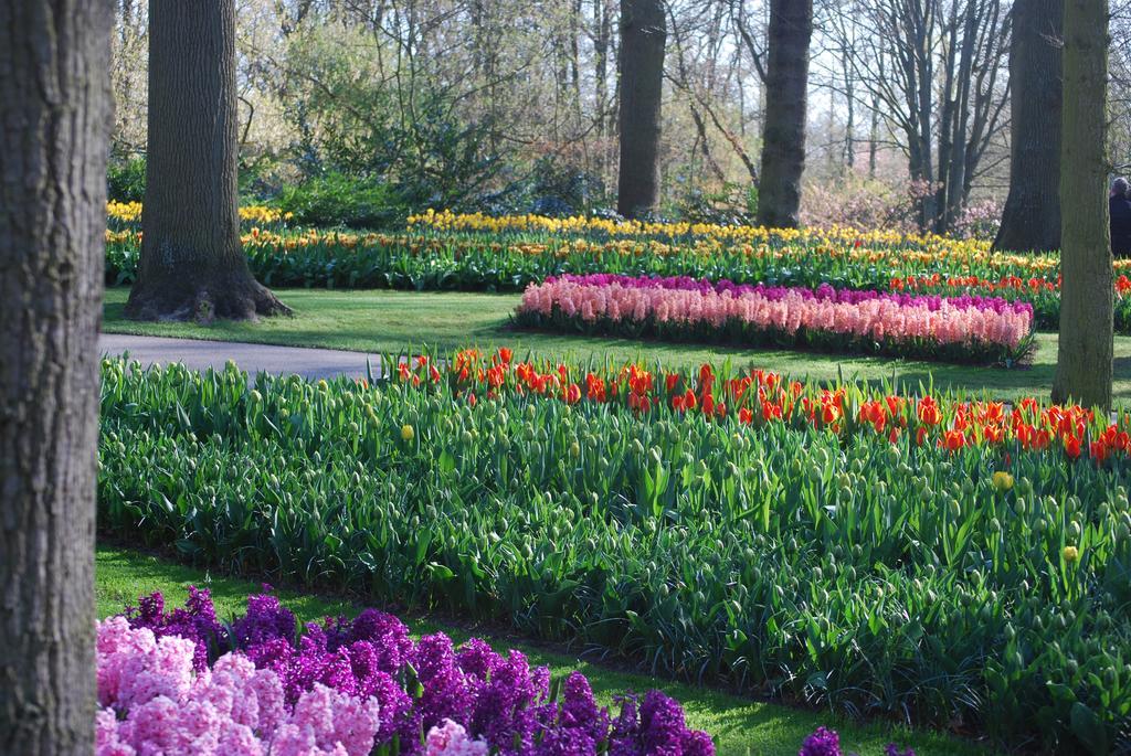 Vakantiepark Delftse Hout Esterno foto