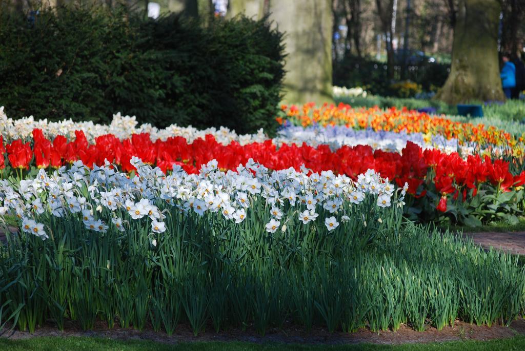 Vakantiepark Delftse Hout Esterno foto